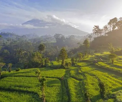 Sidemen Countryside Tour — Bali